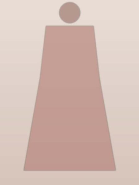 Terracotta Cotton Saree